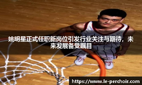 美嘉体育平台