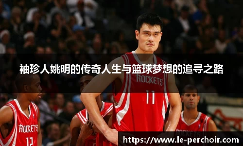 美嘉体育官网