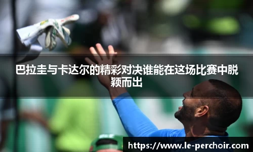 美嘉体育平台