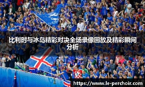 比利时与冰岛精彩对决全场录像回放及精彩瞬间分析