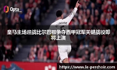 美嘉体育官网
